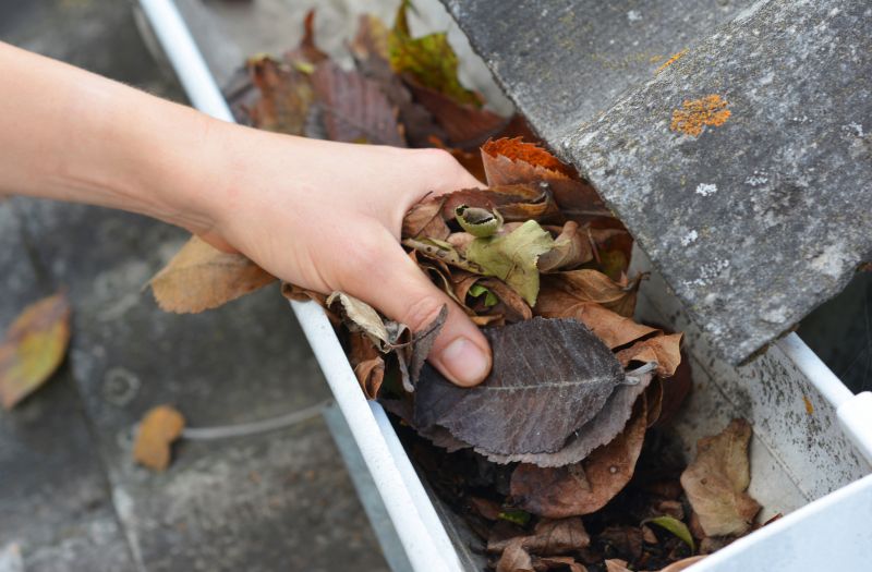 Clogged Gutters with Leaves